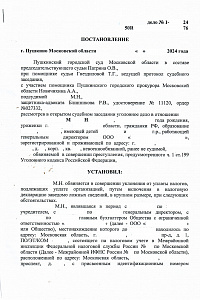 Приговор 1-2024 год (экономика) - 3 стр