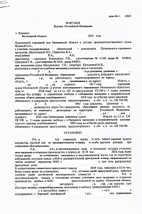 Приговор ТВ-2025 год (против собственности)