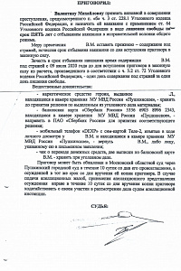 Незаконный оборот наркотиков 5.1