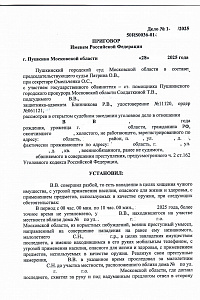 Приговор ЛВ-2025 год (против собственности)